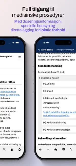 Metodebok Nett screenshot 4