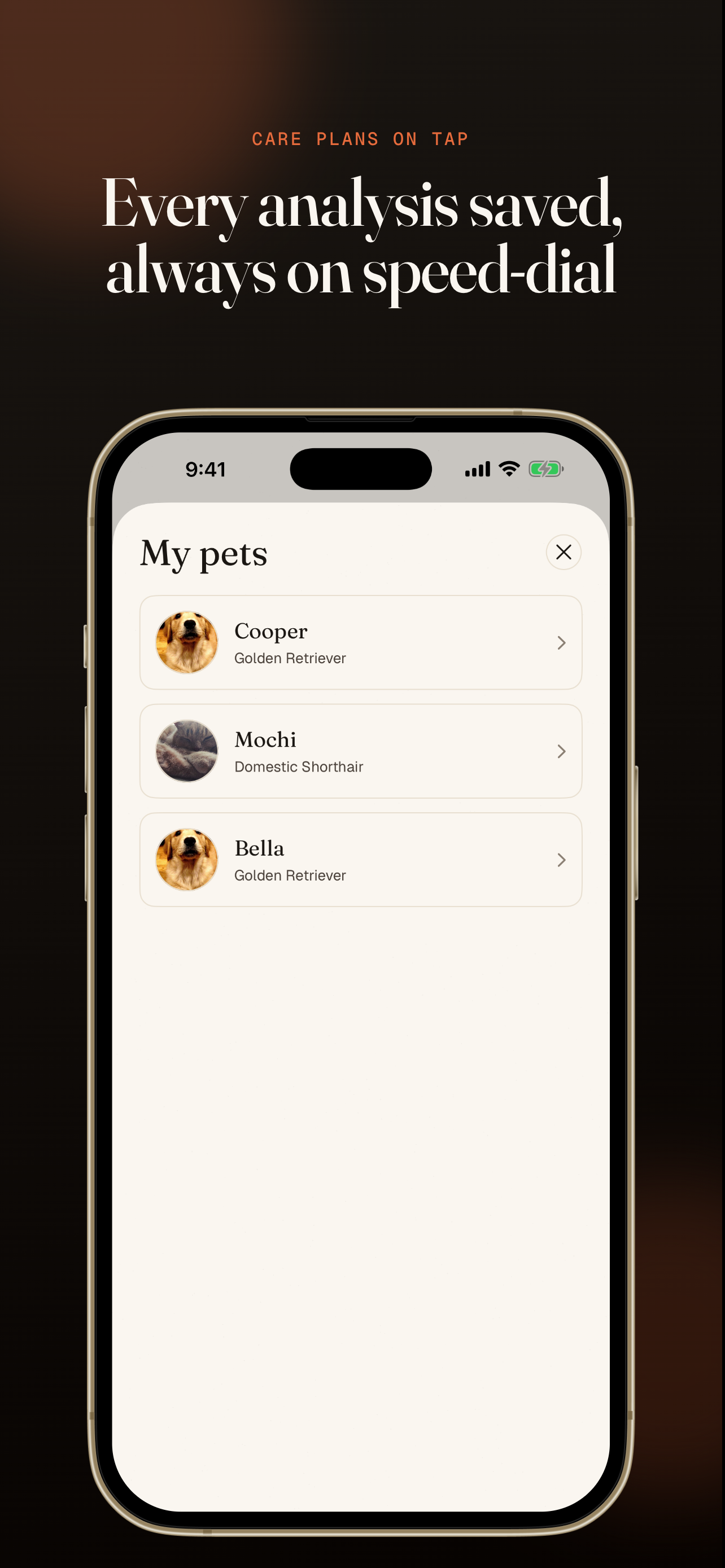 Pawdigree - Pet Breed Analysis