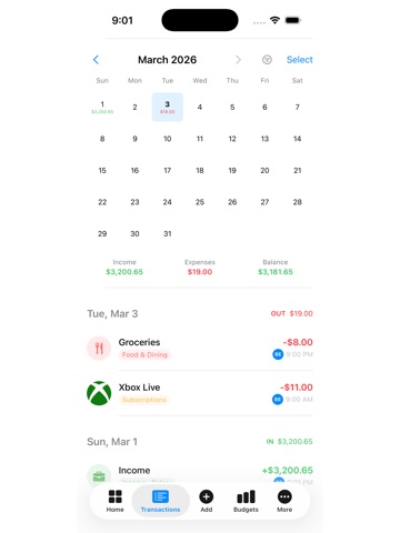 Arvio: Budgeting iPad screenshot