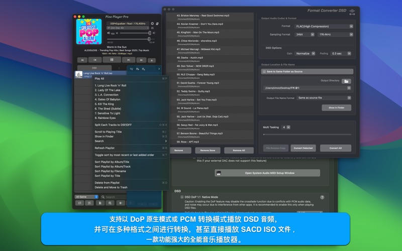Pine Player Pro screenshot