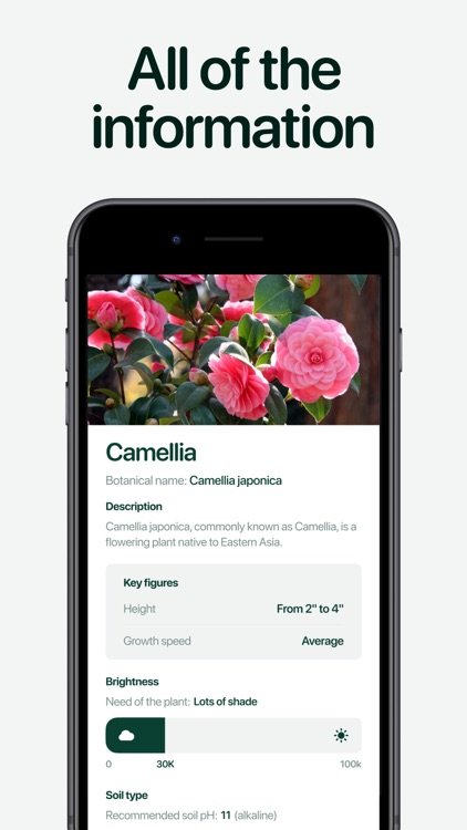 Planto: Plant Identifier