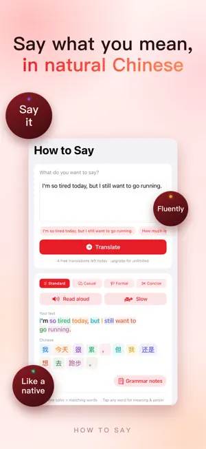 How to Say Chinese screenshot 1