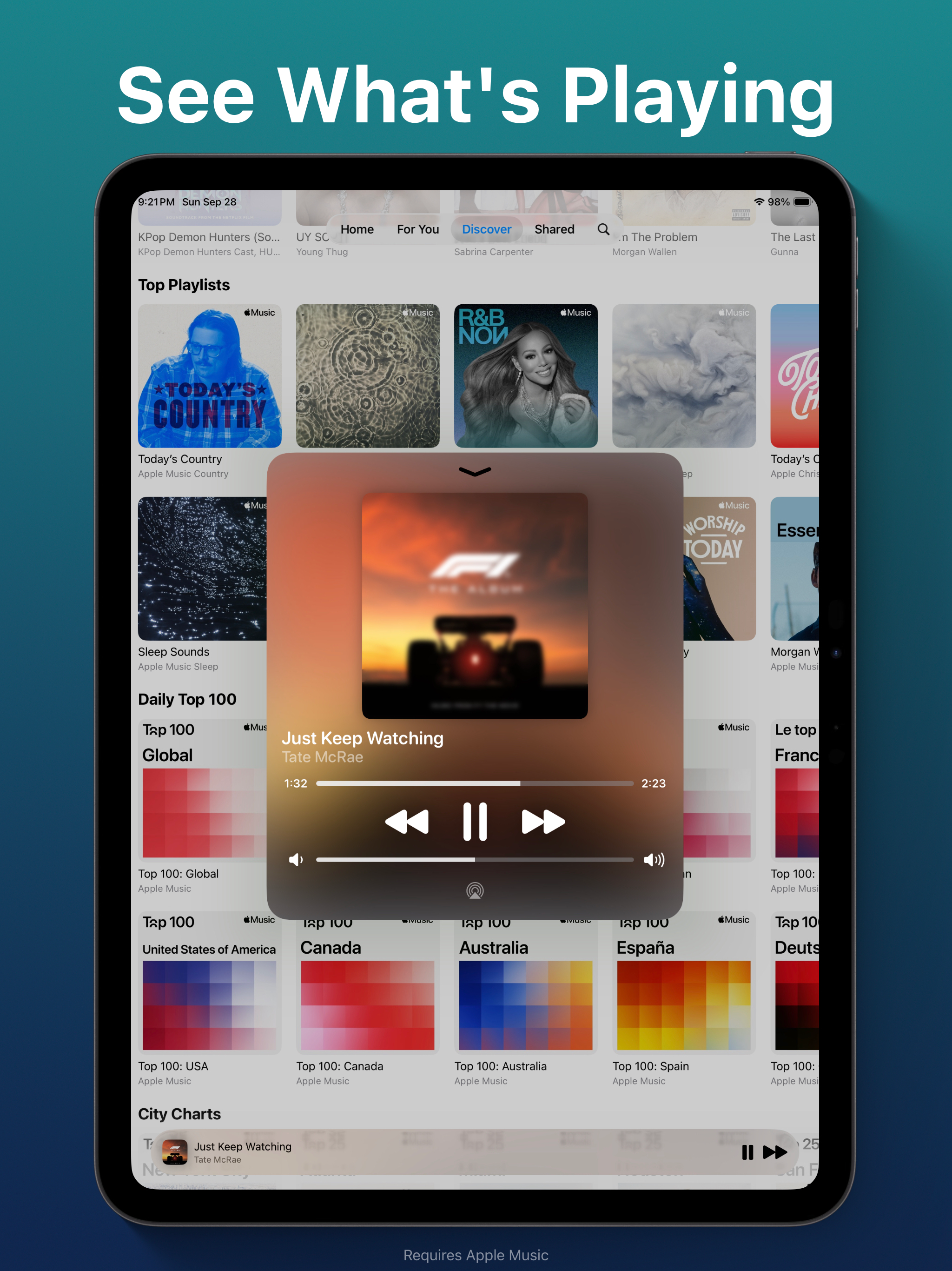 QuickPod - Music Widgets screenshot 15