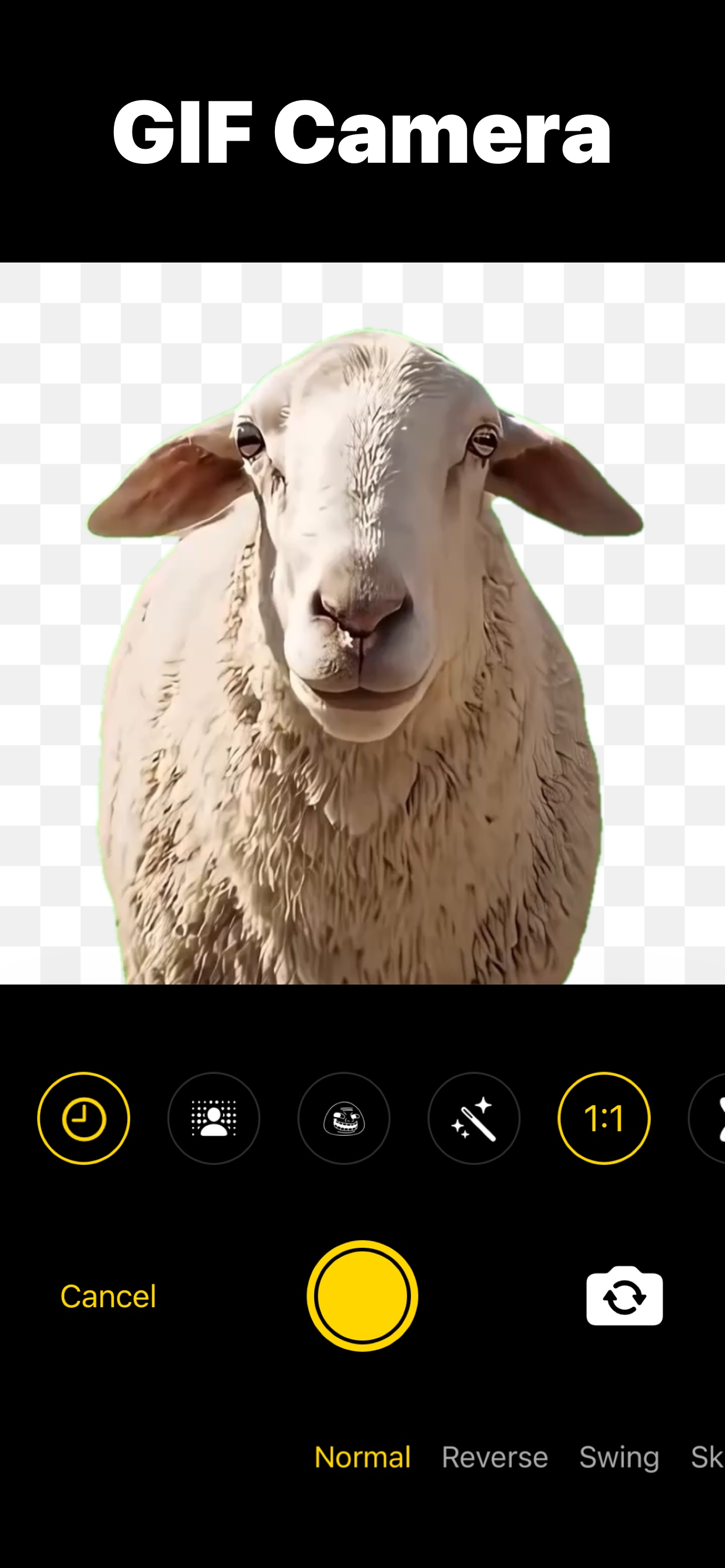 Goo GIF: Meme & GIF Maker screenshot 5