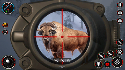 Dino Hunting Wild Animal Games Screenshot