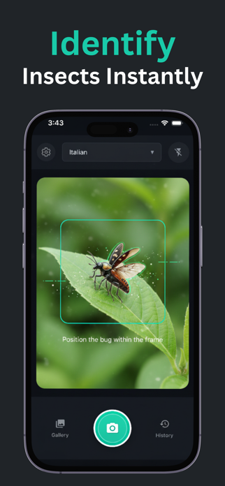 Bug Identifier : Insect Id AI Screenshot 1 of 3