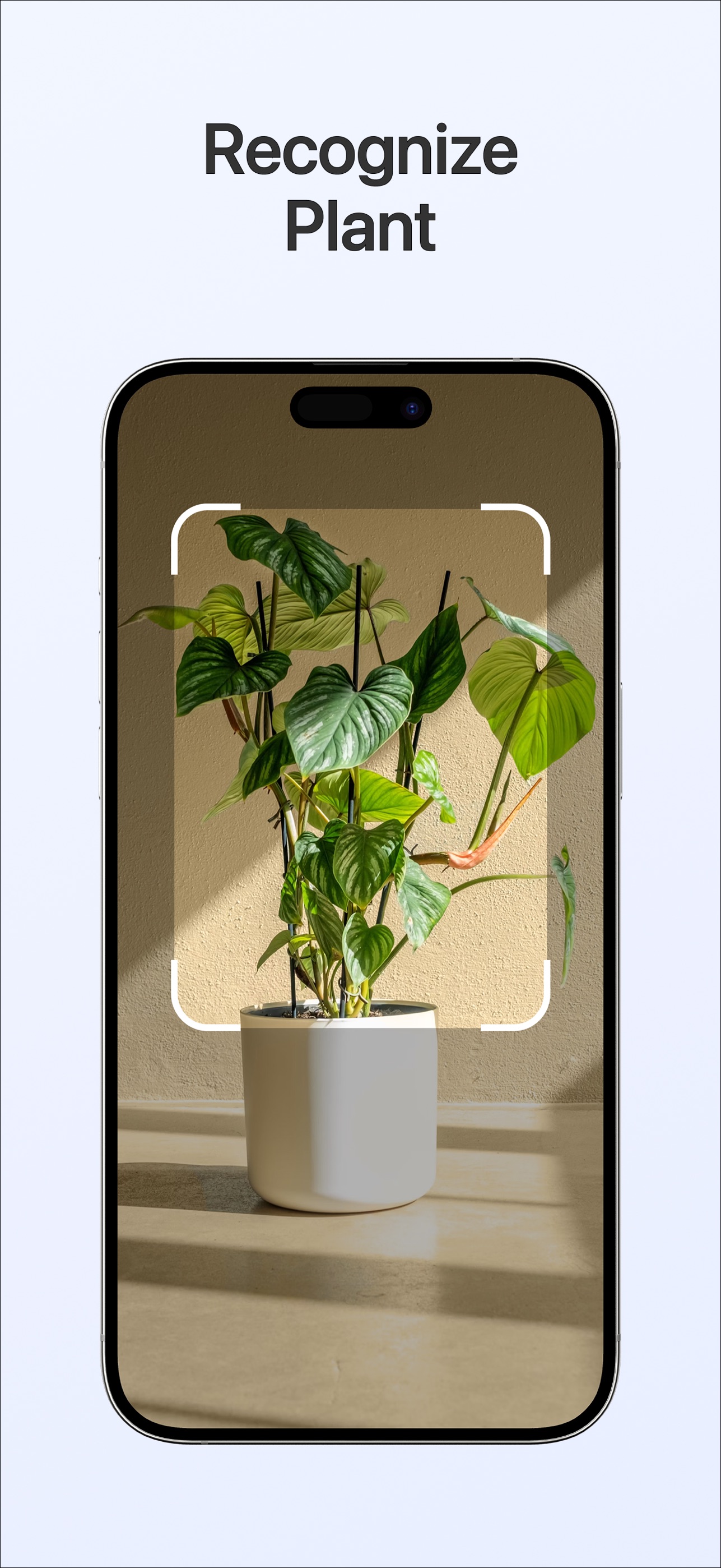 Screenshot 4 of SnapLens: AI Identify Anything