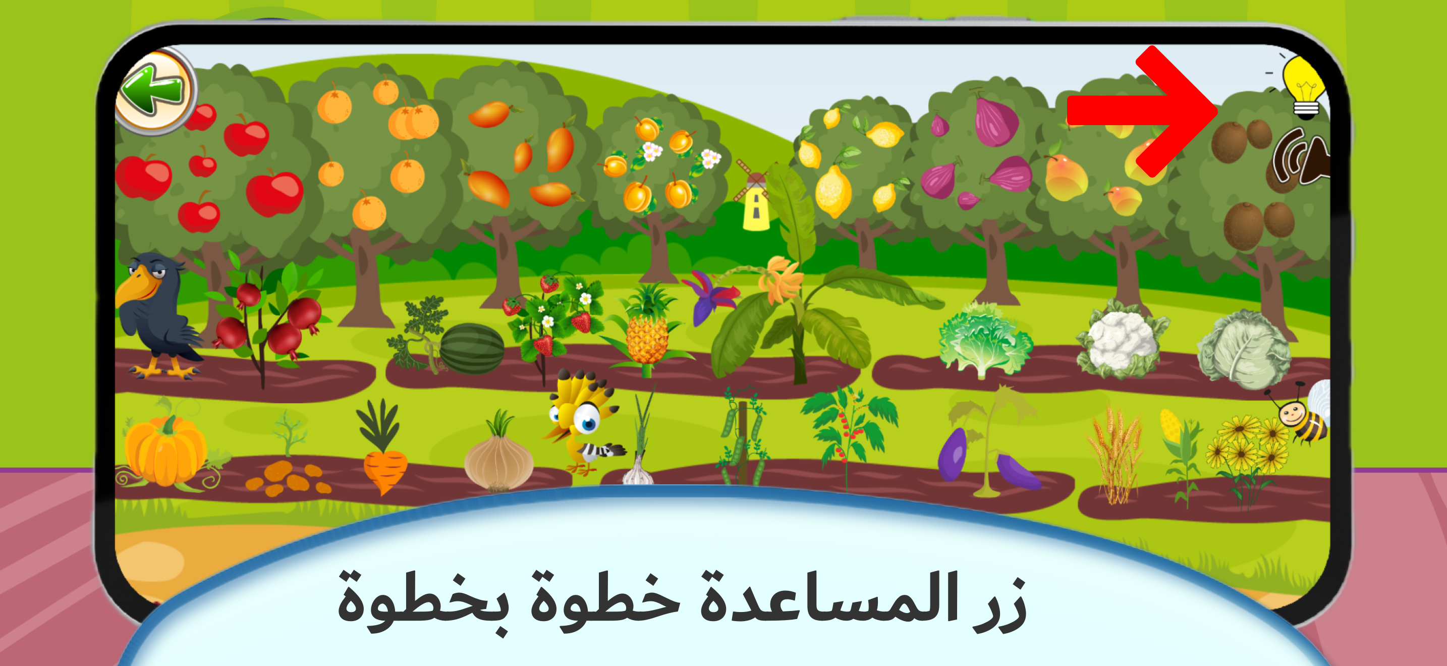 Letter Quest: Arabic & English