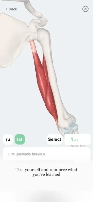 Humio: 3D Human Anatomy screenshot 3