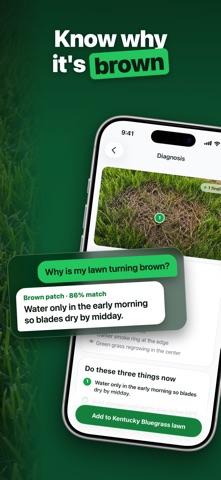 What Grass Is This? Grass ID Screenshot 2 of 10