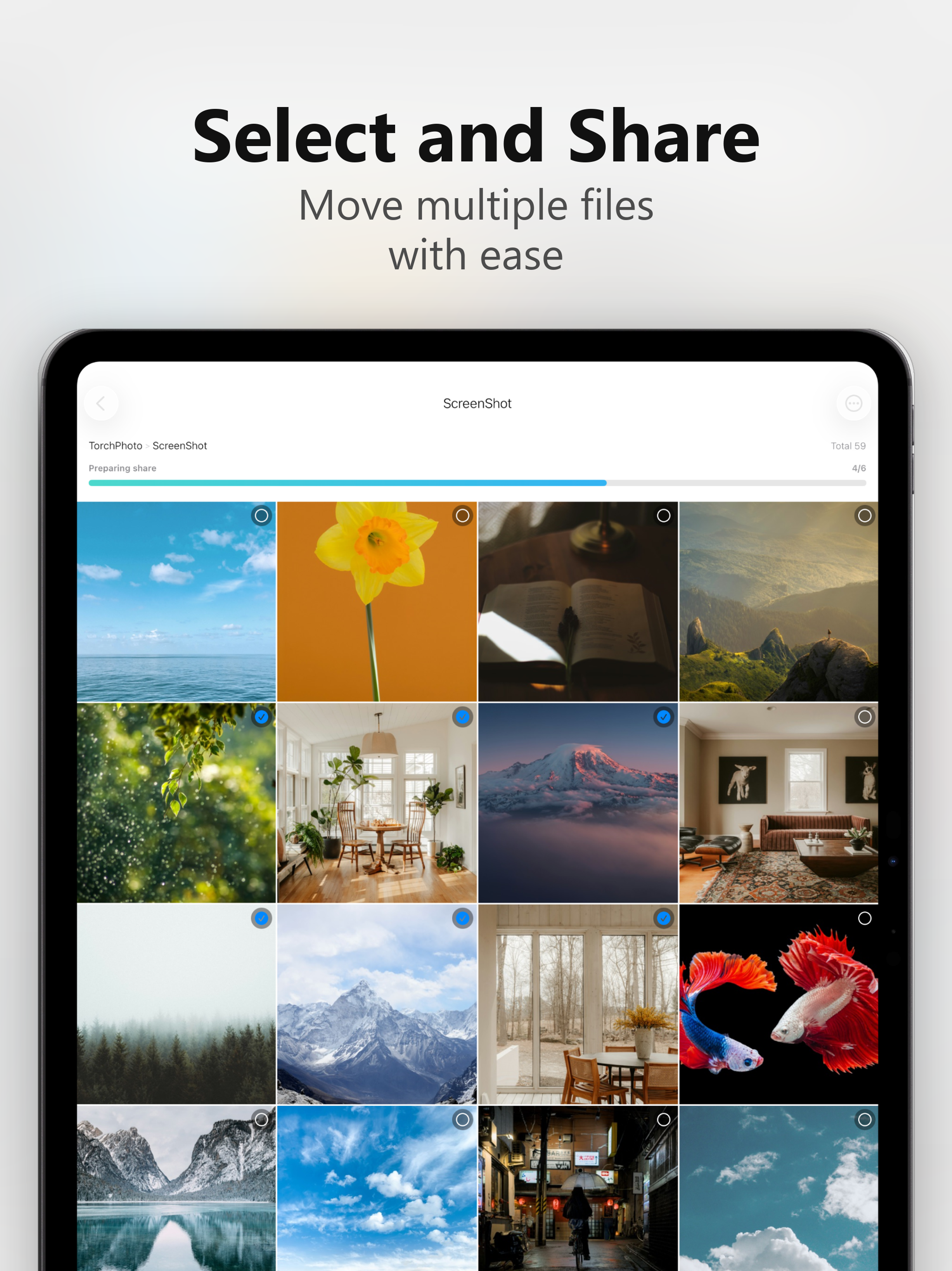 TorchPhoto - NAS Gallery screenshot 18