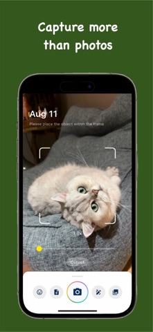 Pocketful Screenshot 2 of 6