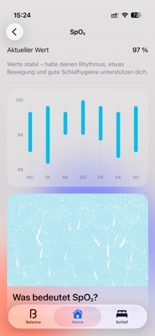 Lune screenshot