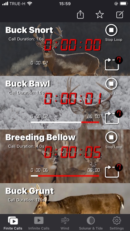 Deer Calls for Whitetail App