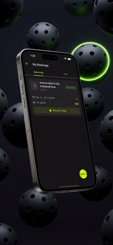 Pickles ball Screenshot 3 of 6