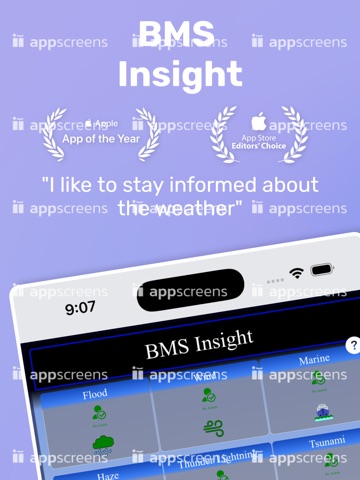BMSInsight iPad screenshot