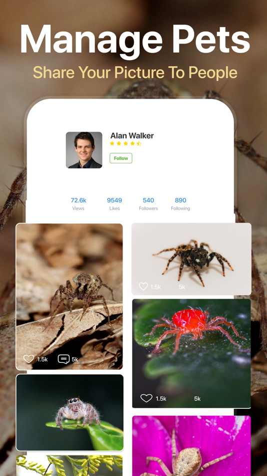 #5. Spiders Identifier by Photo ID (iOS) 来自: Zain ul Abdin