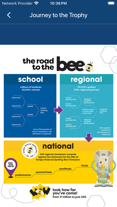 Bee Week Screenshot