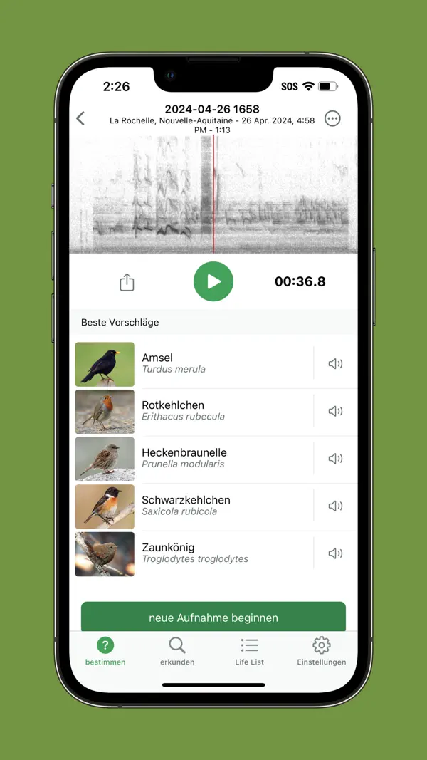 Merlin Bird ID von Cornell Lab Screenshot 8