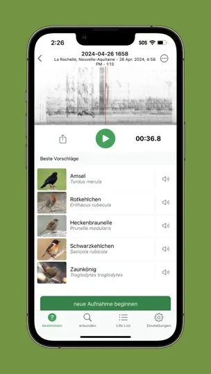 Screenshot von Merlin Bird ID Von Cornell Lab auf dem iPhone 8