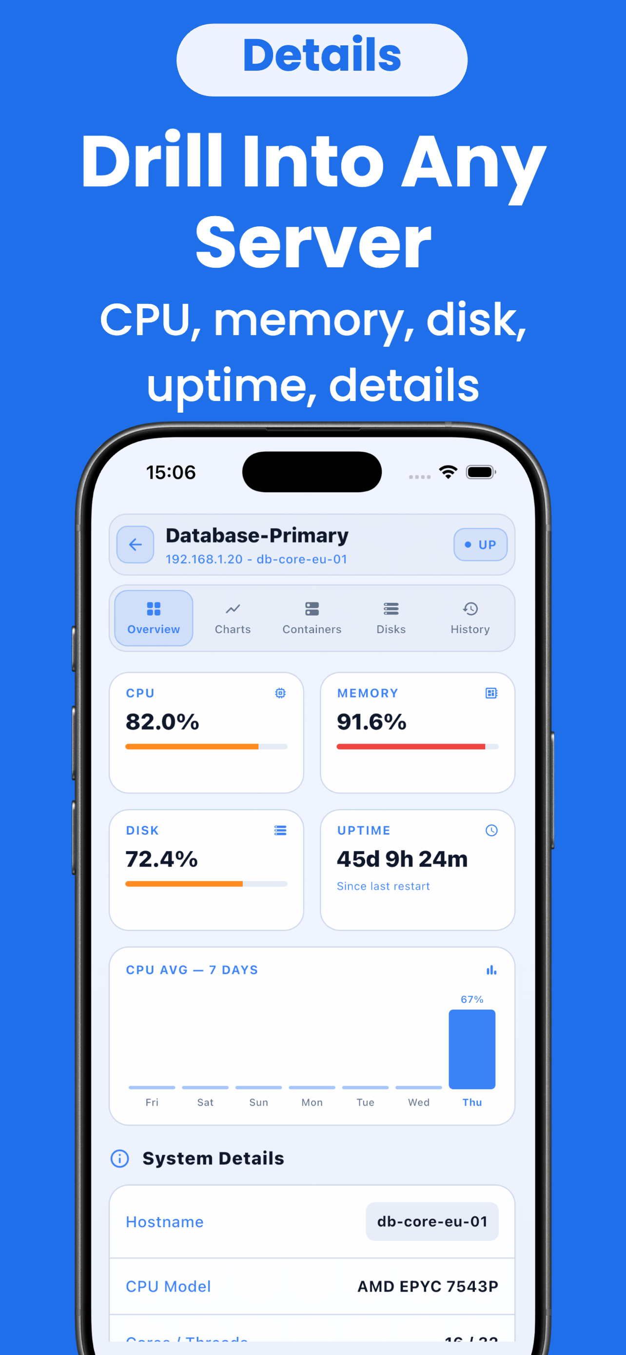 Beszel : Dashboard screenshot 3