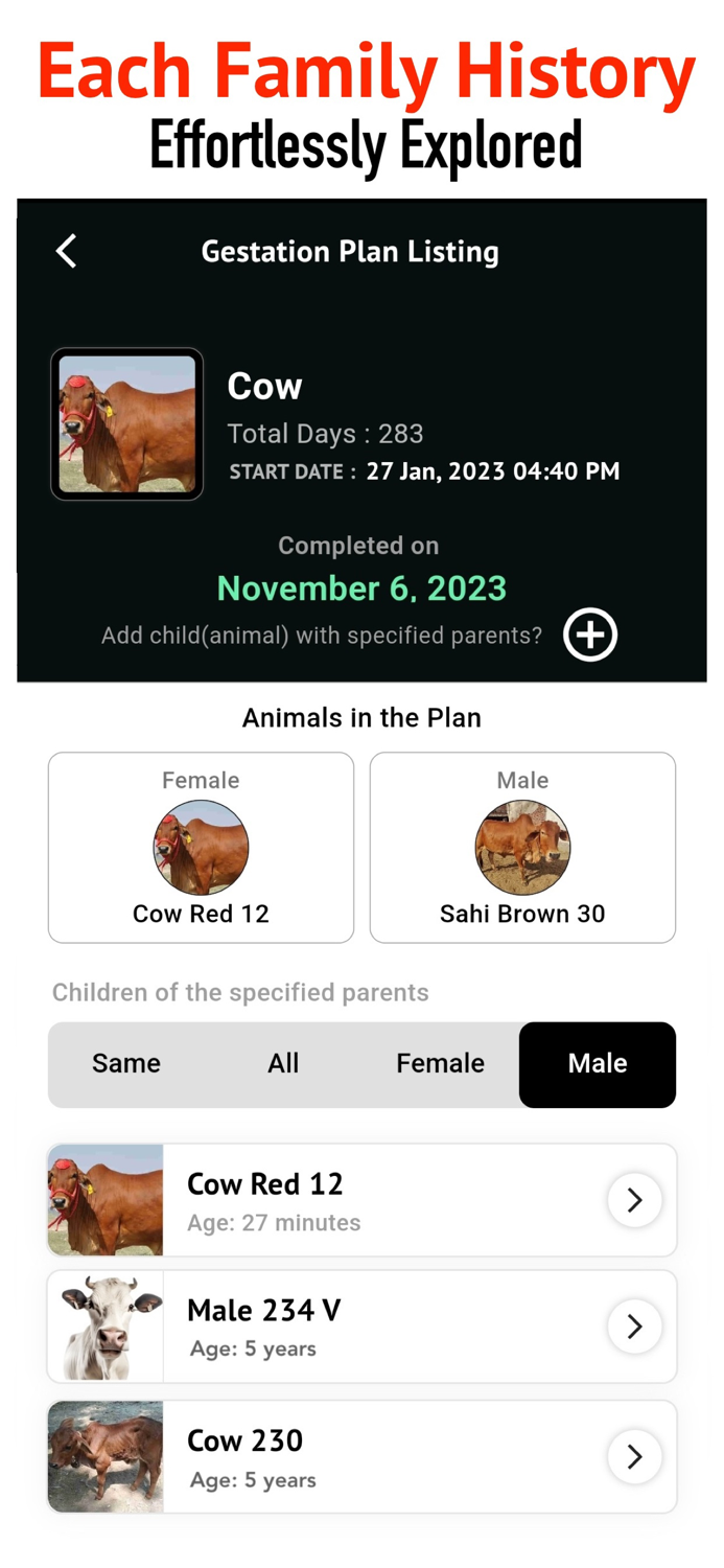 Livestock Gestation Manager