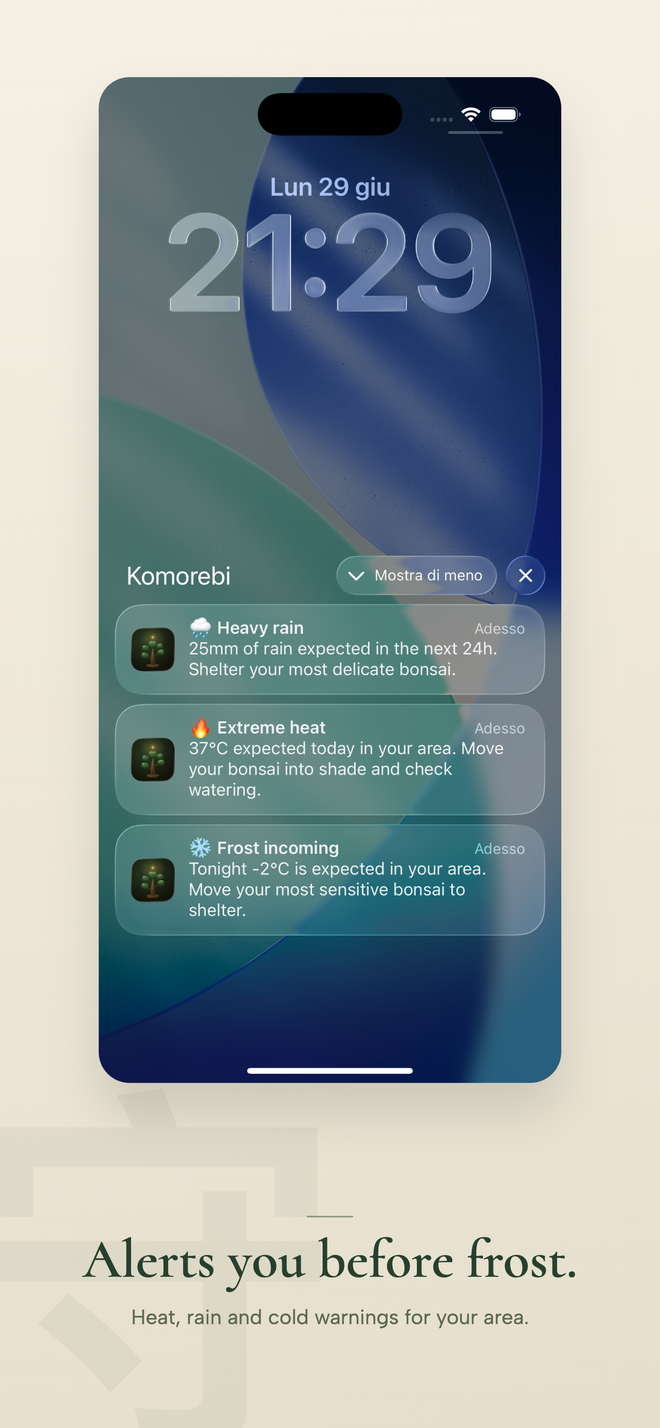 Komorebi · Bonsai Care screenshot 4