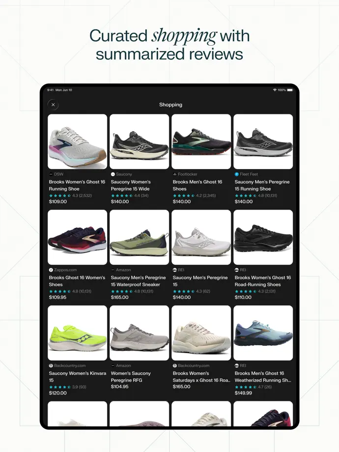 Perplexity iPad screenshot 7