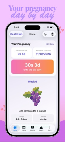 GestaHub - Pregnancy Tracker Screenshot 1 of 10