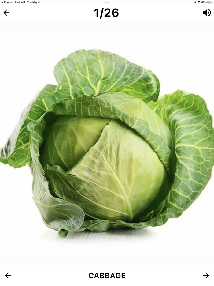 Flashcard English for beginner