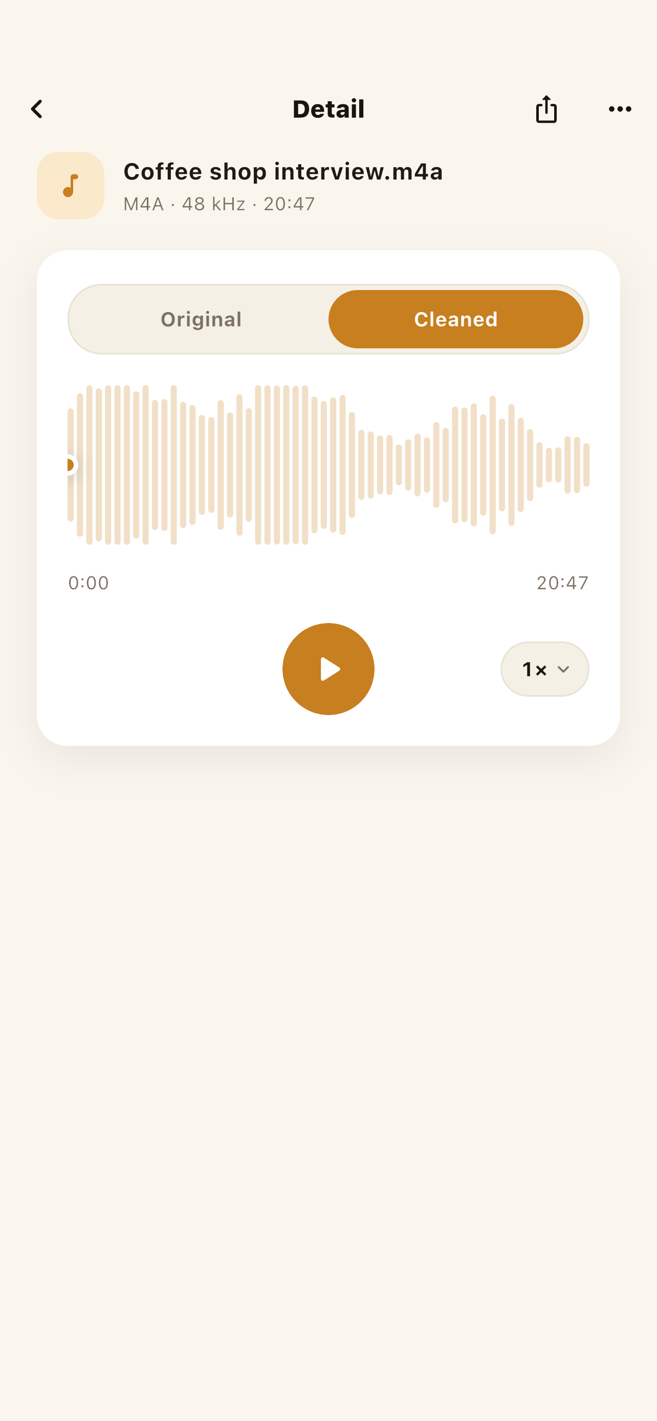 NoisyNo: Voice Noise Remover