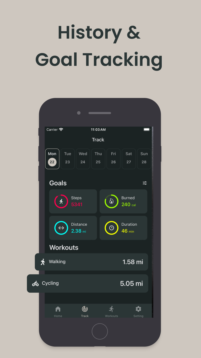 Pedometer Step Counter steps