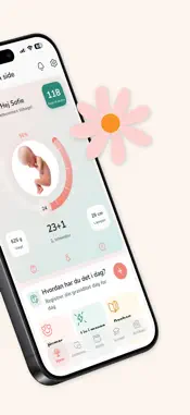 Gravid.dk screenshot 2