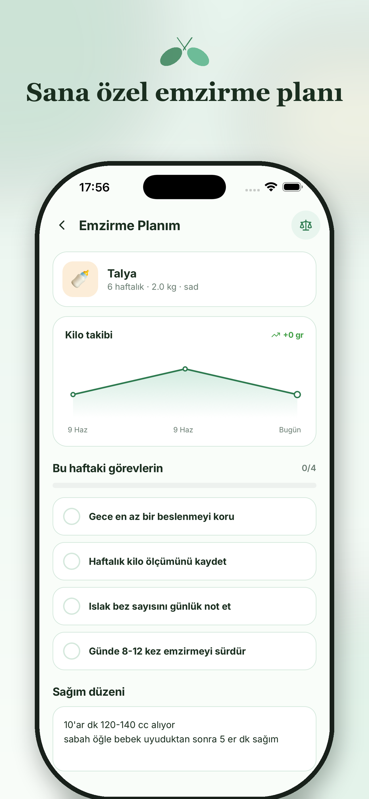 EbeBircanKarakuzu screenshot 6