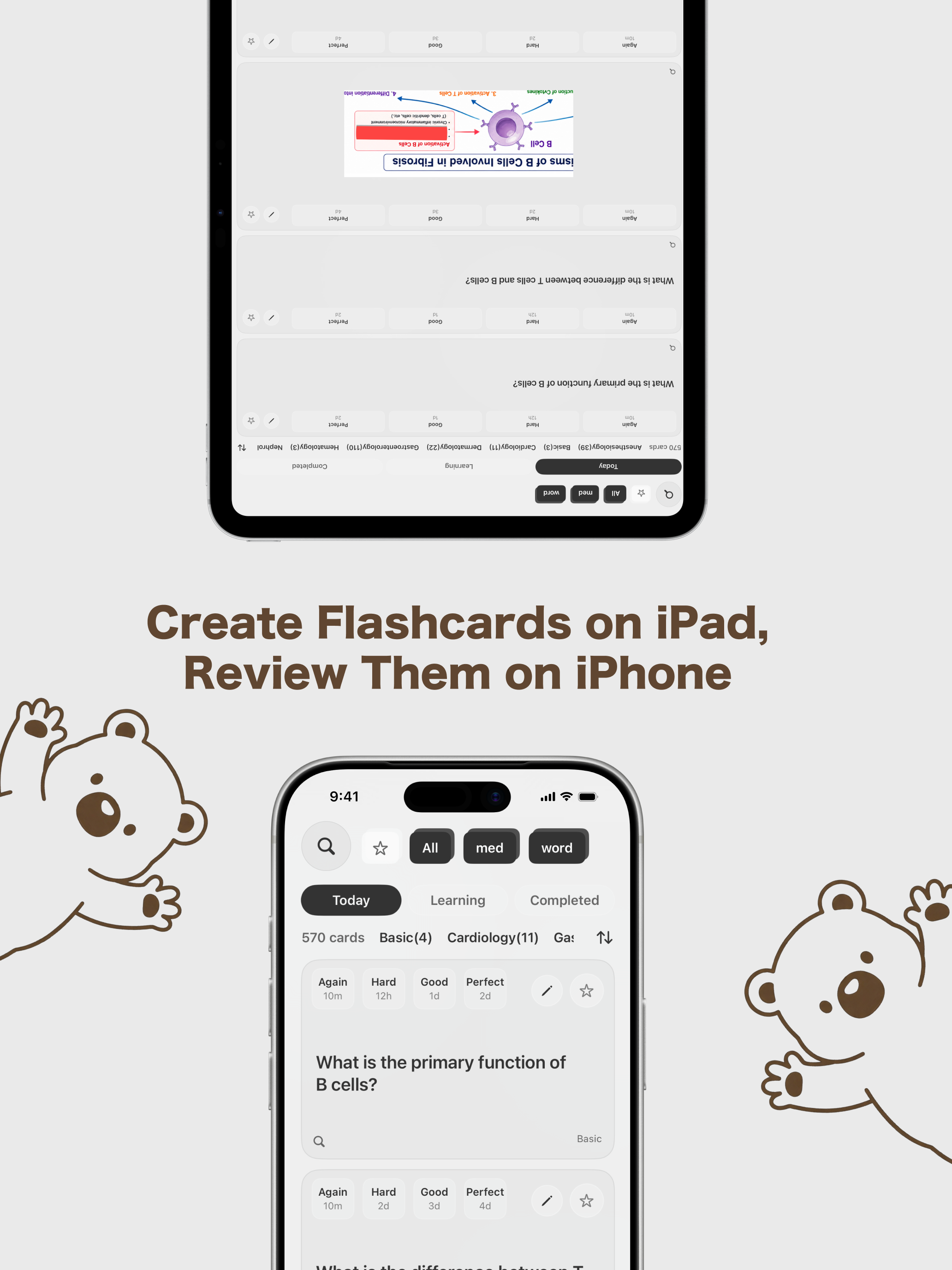 kiokuma -flashcards- screenshot 11