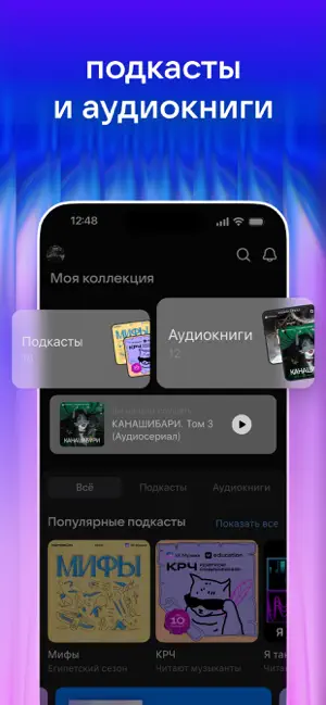 VK Music: playlists & podcasts iPhone screenshot 6