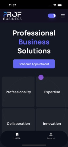 Prof Business Screenshot 3 of 7