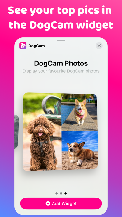 犬の音カメラ - DogCamのおすすめ画像8