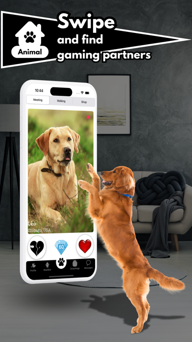 Zoove - pet services Screenshot