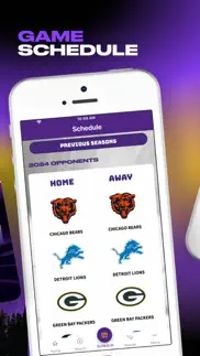 minnesota vikings problems & solutions and troubleshooting guide - 3