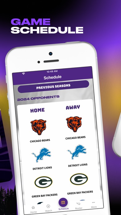 Minnesota Vikings Screenshot