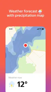 yandex with alice ai iphone images 4