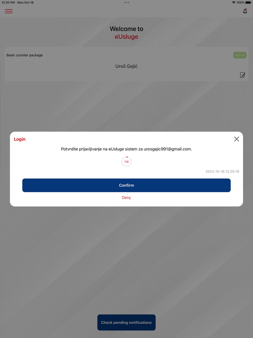 iPad screenshot