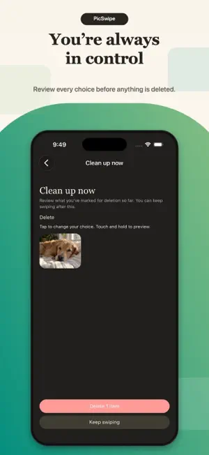 PicSwipe - Camera Roll Cleaner screenshot 3