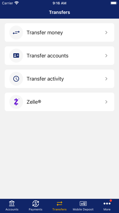 Nevada State Bank Screenshot