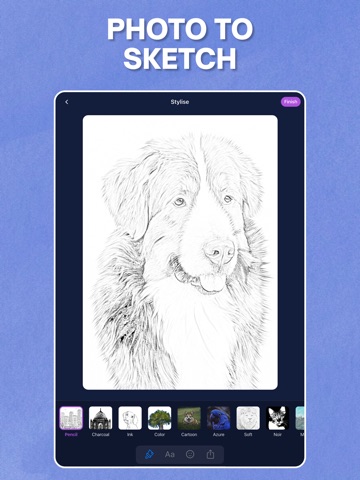 Photo to Sketch - Drawiq iPad screenshot
