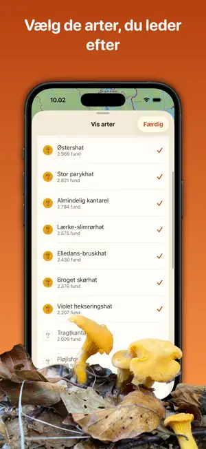 Spisesvampe i Danmark screenshot 3