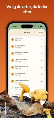 Spisesvampe i Danmark Screenshot 3 of 4