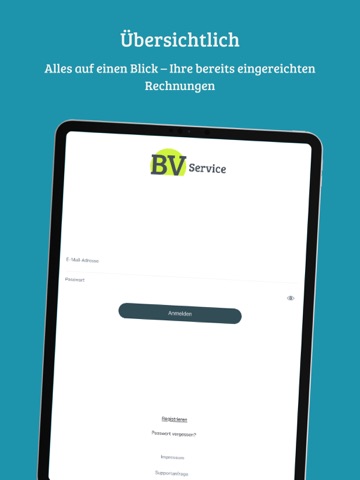BV Service