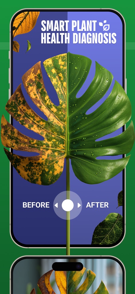 Plant Identifier: Flower Scan - Reference App | MWM